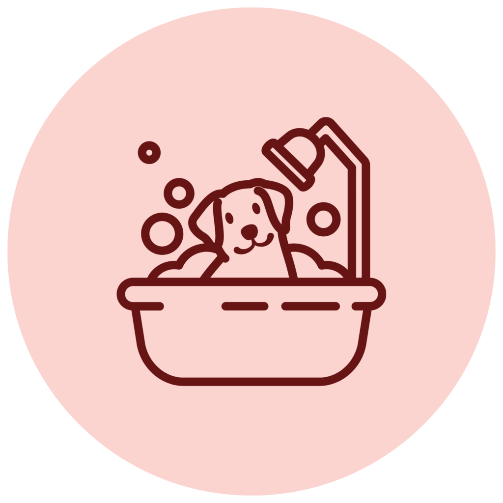 Bain pour chien chez Vet & Cie