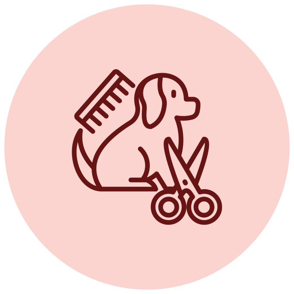 Coupe au toilettage de Vet & Cie