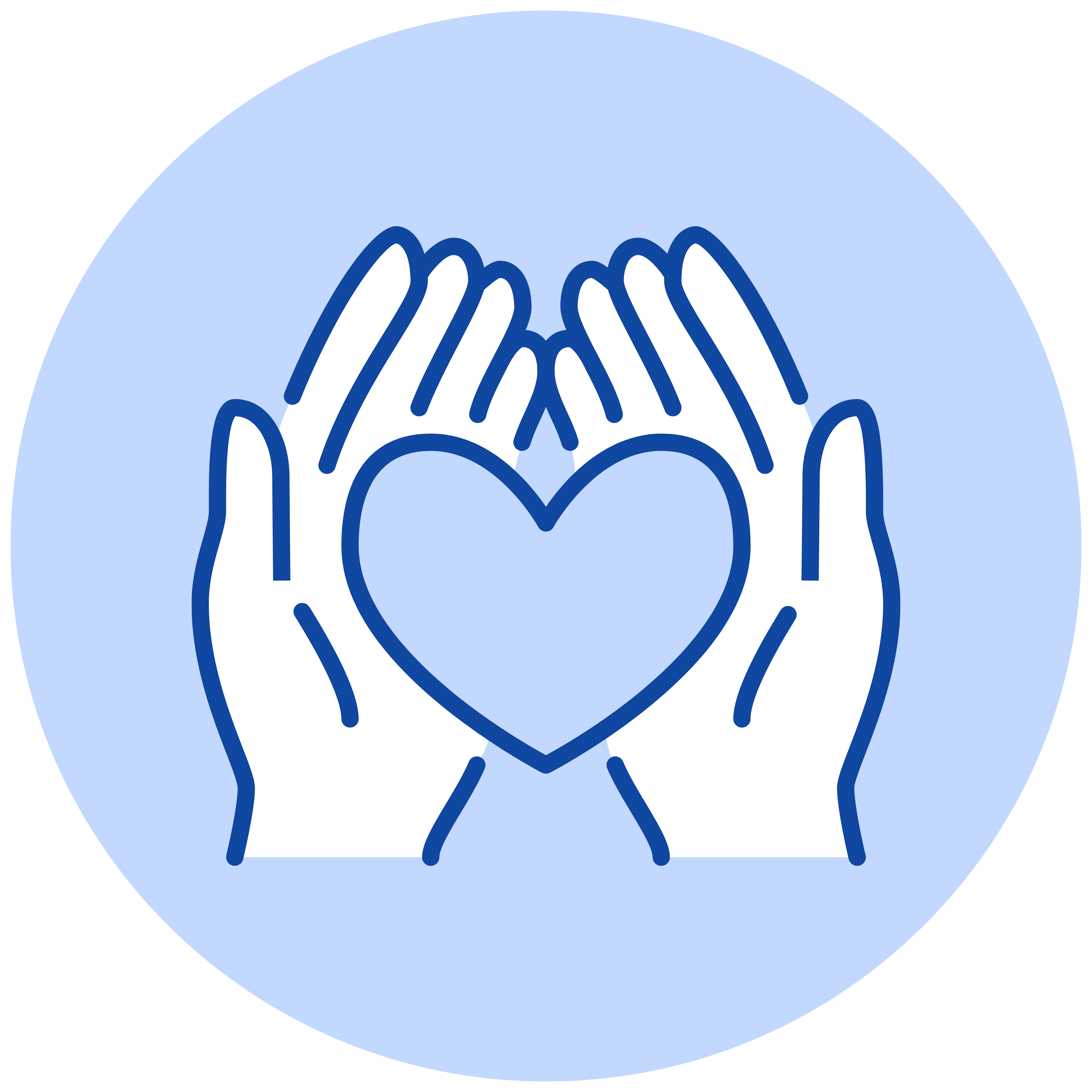 Icône Sécurité Vet & Cie