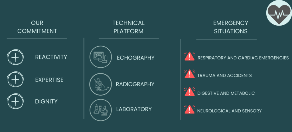 Cat and do emergencies