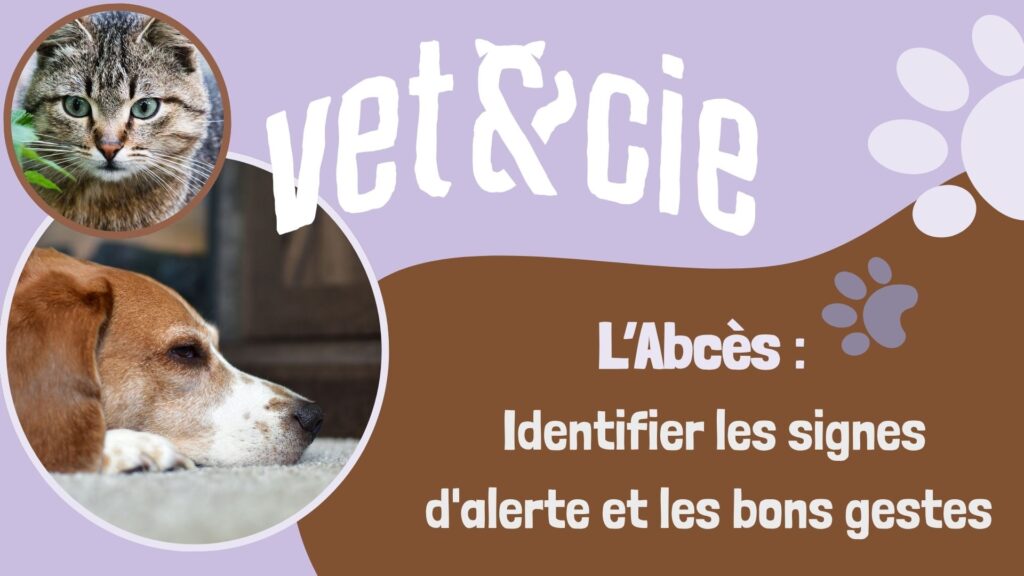 L'abcès