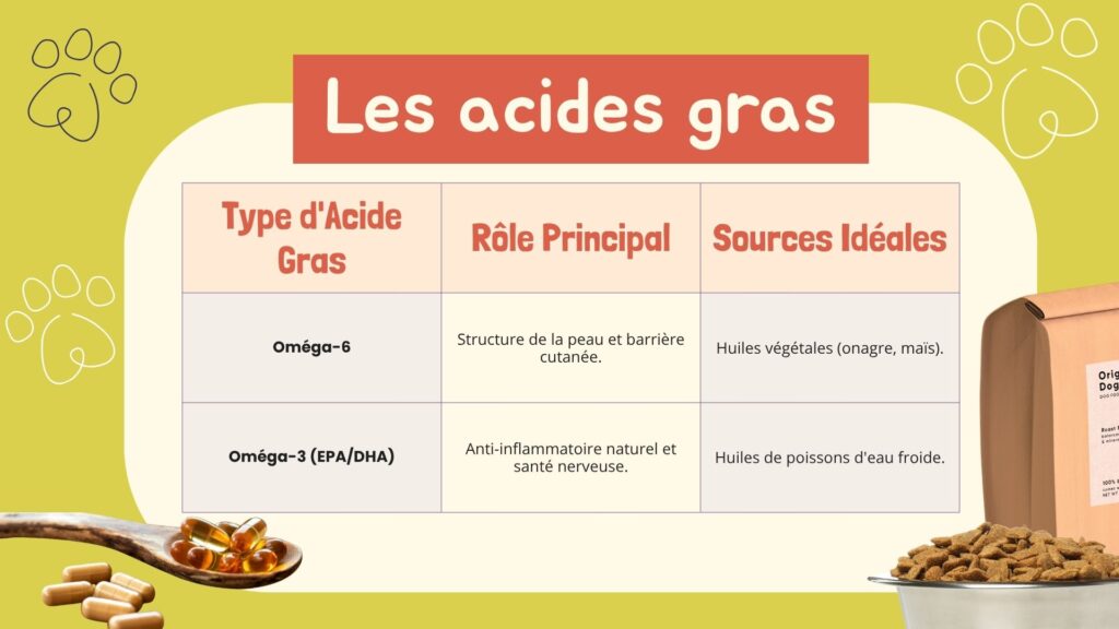 Tableau comparatif des types d'acides gras (Oméga-3 et 6), leurs rôles et sources idéales pour la nutrition animale.