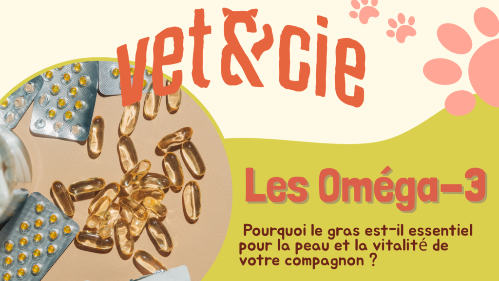 Compléments alimentaires Oméga-3 pour chiens et chats Vet & Cie – Santé du pelage et vitalité.
